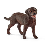 Female Labrador Retriever