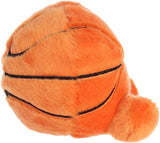 5" Hoops Basketball