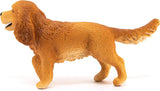 English Cocker Spaniel