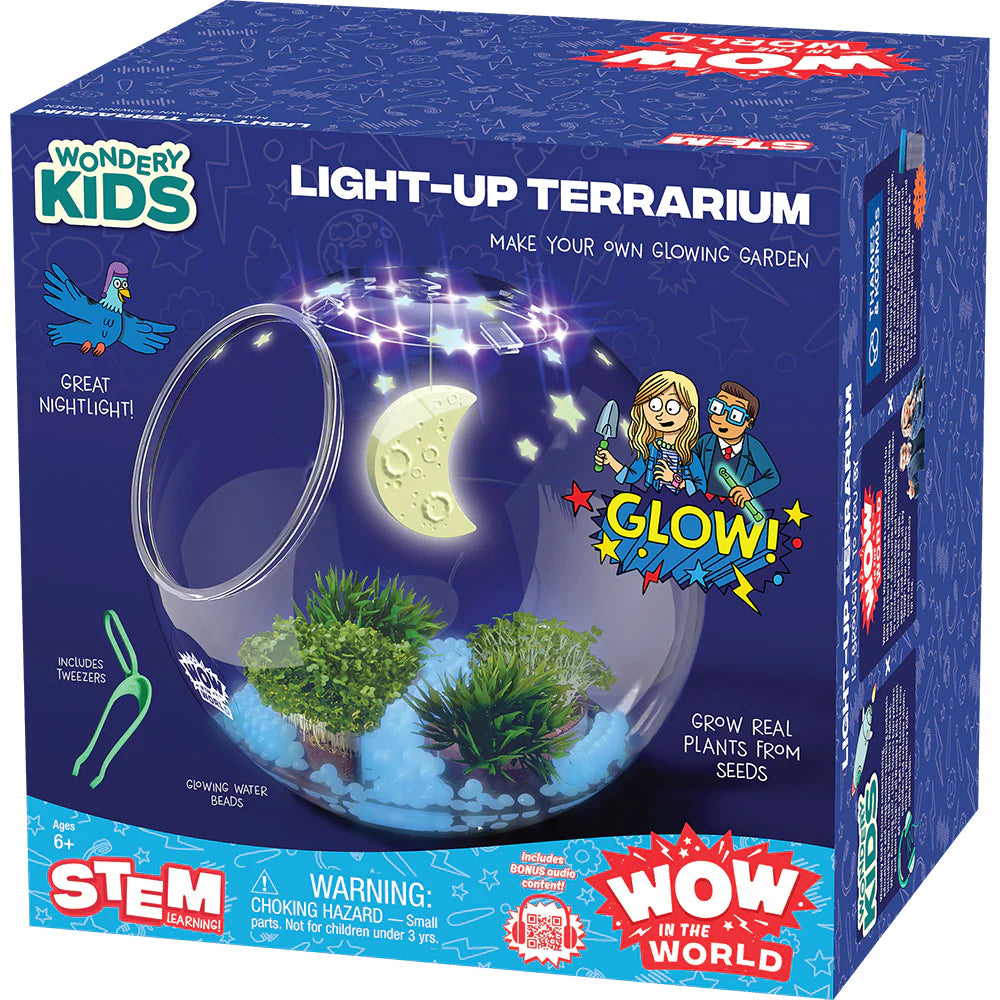 Light-Up Terrarium Wow in the World