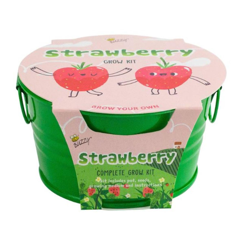 Strawberry Kids Mini Painted Basin