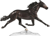 Atlanta - Champion Standardbred Racing