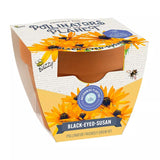 Black-Eyed Susan Pollinator Classic Terra Cotta