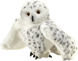 Snowy Owl