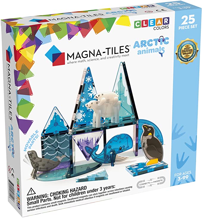 25 pc Artic Magna Tiles Set